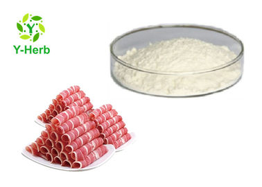 Fine Bulk Transglutaminase Enzyme CAS 80146-85-6 Food Additives Powder