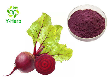 Beetroot Red Beet Root Extract Powder Sugar Factory Use Anti Tumor Natural Pigment