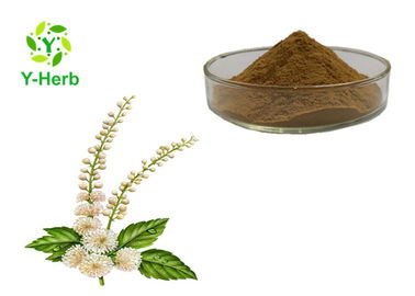 Free Sample Triterpenoid Saponins Rhizome Powder 2.5% 5% 8% Black Cohosh Extract