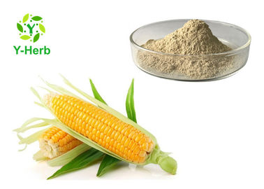 Easily Absorbed Maize Oligopeptide Protein Supplement Corn Peptide Powder