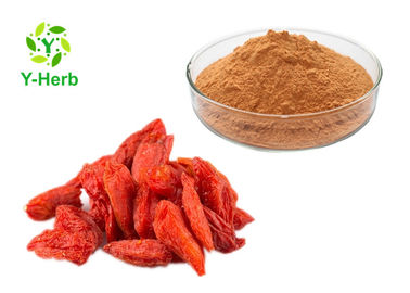 Pure Goji Juice Concentrate Powder Wolfberry Berry Lycium Barbarum Berry Extract