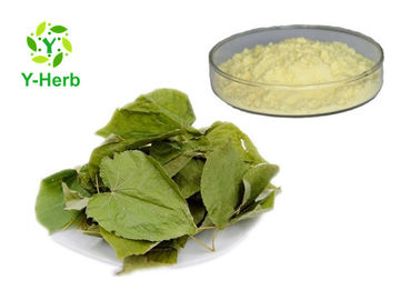 Epimedium Sagittatum Leaf Extract Icariin Powder Epimedium Brevicornum Maxim P.E