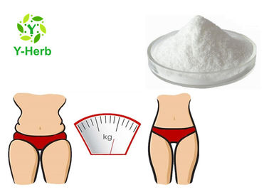 White Weight Loss Raw Supplement 99% Food Grade Acety L-Carnitine Base Powder