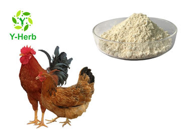 Feed Grade Thermostable Phytase Powder Enzyme For Livestock Additive CAS 9001-89-2