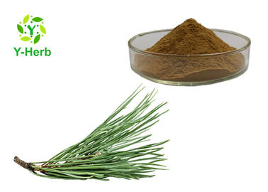 Skin Care Herbal Extract Powder Organic Pine Needle Extract Powder ISO FDA