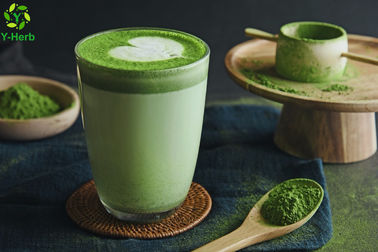 Customized Matcha Tea Powder 300-1000 Mesh Organic Green Tea Macha Extract