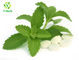 100% Natural Sweetener Stevioside Rebaudioside A Stevia Leaf Extract Powder In Bulk