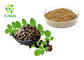 Health Care Supplement Organic Moringa Oleifera Powder 10:1 Moringa Seed Extract