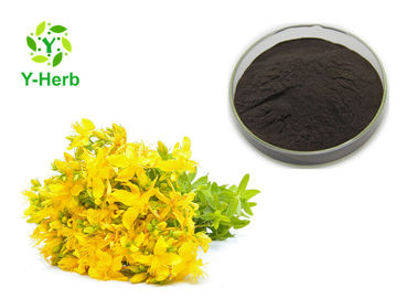 Hypericum Perforatum P.E. Hypericin 0.3% Hyperforin 3% St. John's Wort Extract Powder