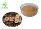 Pure Natural Mushroom Extract Powder Marasmius Androsaceus Extract Powder