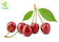 Vitamin C Powder Cherry Juice Concentrate VC 17% 25% Acerola Cherry Extract