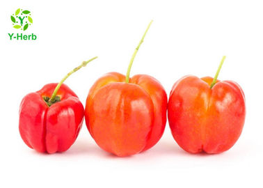 Natural Fruit Acerola Extract VC Powder 17% 25% With Immune Enhancing HPLC Test