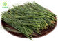 Skin Care Herbal Extract Powder Organic Pine Needle Extract Powder ISO FDA