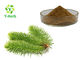 Food Grade Pine Leaf Extract Health Care Yellow Brown Color TLC Test Method