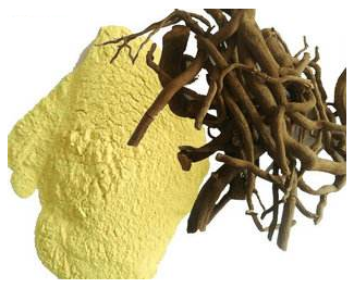Vendita all'ingrosso di kava-kava dell'affare della polvere di alta qualità 30% 50% 70% Kavalactones